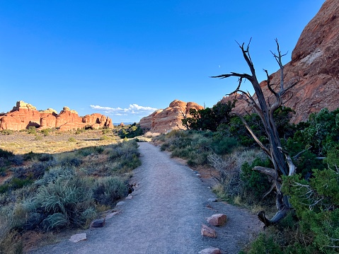 Beautiful scenery, Devils Garden, Arches National Park, Moab, Utah