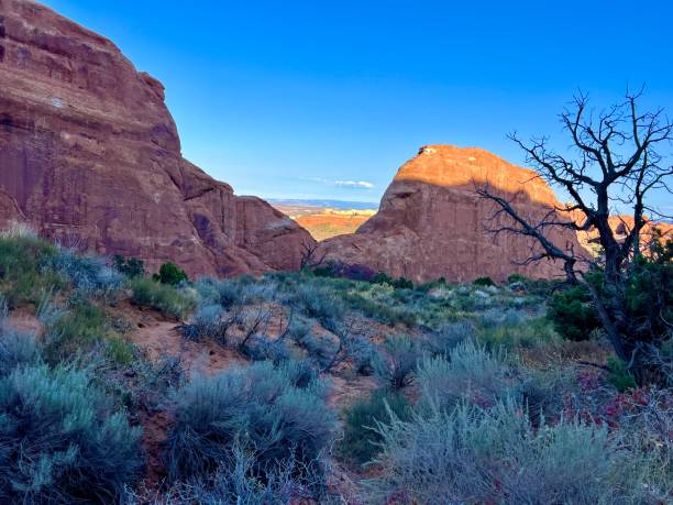 istock Beautiful scenery, Devils Garden, Arches National Park, Moab, Utah 1771926987
