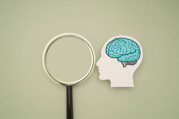 istock A brain shape symbol and a magnifying glass on a green background 1771940087