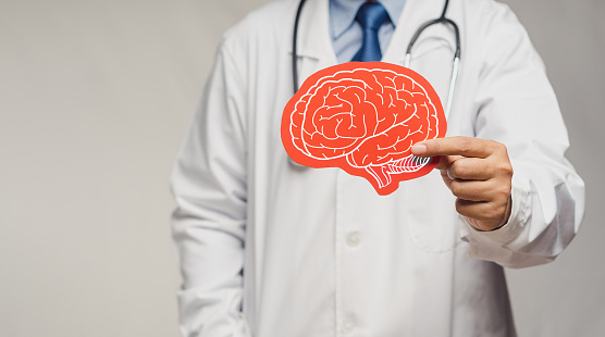 Midsection of a doctor in a uniform holding a brain symbol made from red paper while standing in the hospital. Dementia concept. Close-up photo. Space for text. Medical and healthcare