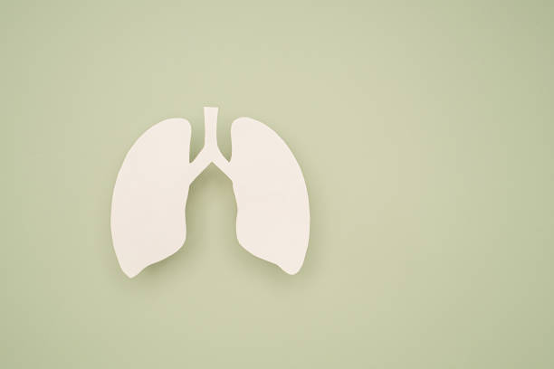 istock A lung symbol on a green background with space for text 1771940530