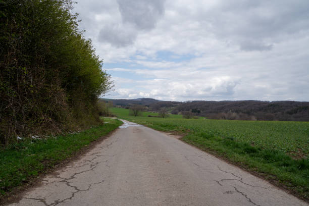 istock Path in the landscape on a cold day in spring 1771945972