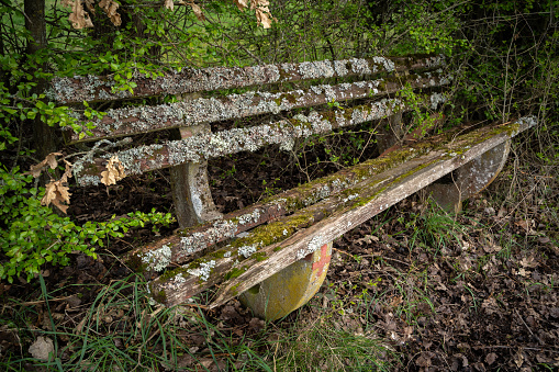 Very old wooden bench in the nature