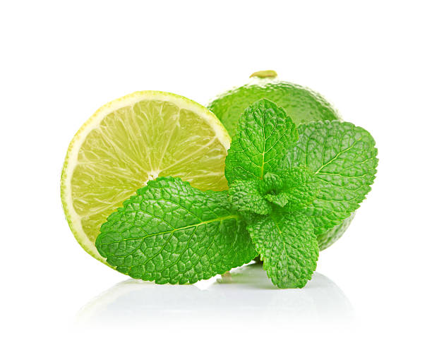 istock Limes and mint isolated on white background 177195182