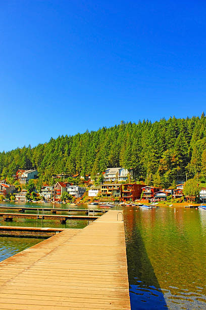 istock Dock and cottages at Cutlas Lake, British Columbia 177195210