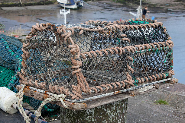 istock Lobster Pot On Wharf 177195882