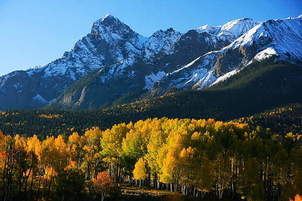 istock Dallas Divide, Uncompahgre National Forest, Colorado 177196054