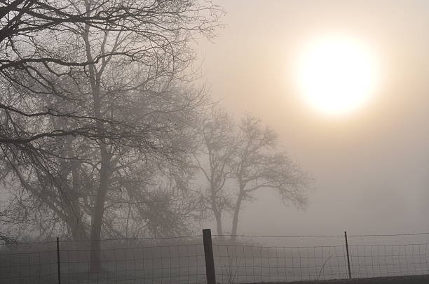 Misty Mourning stock photo