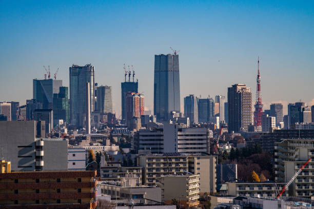 istock Distant view of central Tokyo 1771970812