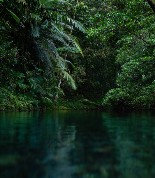 istock Rainforest and Rivers, Greens and Blues. 1771983650