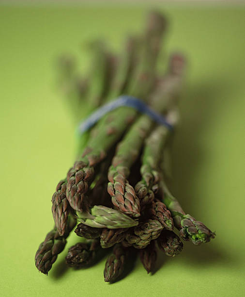 Asparagus with blue rubberband from market stock photo