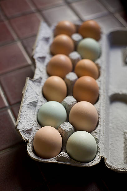 Brown, green, blue eggs in recycled paper egg carton