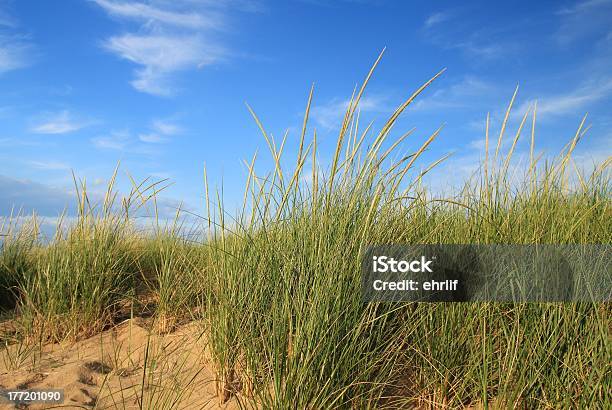 Spiaggia - Fotografie stock e altre immagini di Ambientazione esterna - Ambientazione esterna, Ambiente, America del Nord