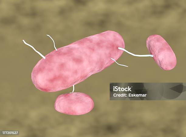 Bakterie - zdjęcia stockowe i więcej obrazów Bakteria - Bakteria, Bez ludzi, Choroba