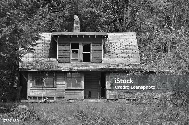 Forgotten Dream Home Stock Photo - Download Image Now - Abandoned, Forest, Horizontal