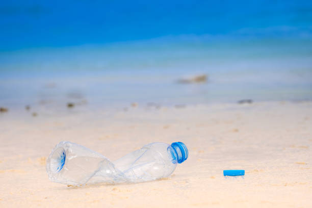 istock Throwing bottled water on the beach marine waste problems and affects the ecosystem on the environment 1772022930