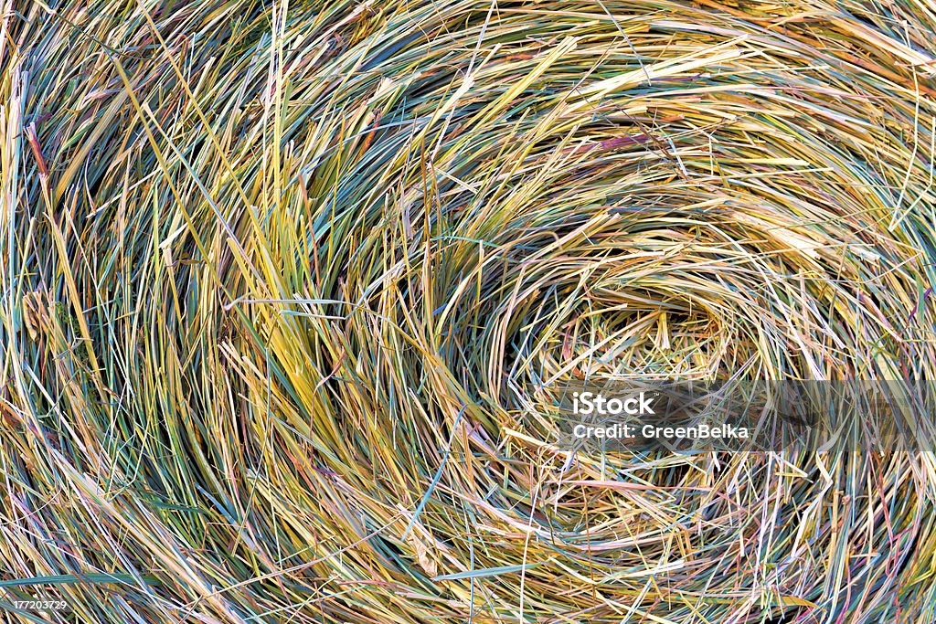 Colore Rotolo di fieno - Foto stock royalty-free di Agricoltura