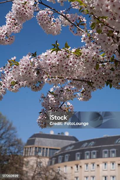 Primavera En Belgien Foto de stock y más banco de imágenes de Aguilón - Aguilón, Arquitectura exterior, Bélgica