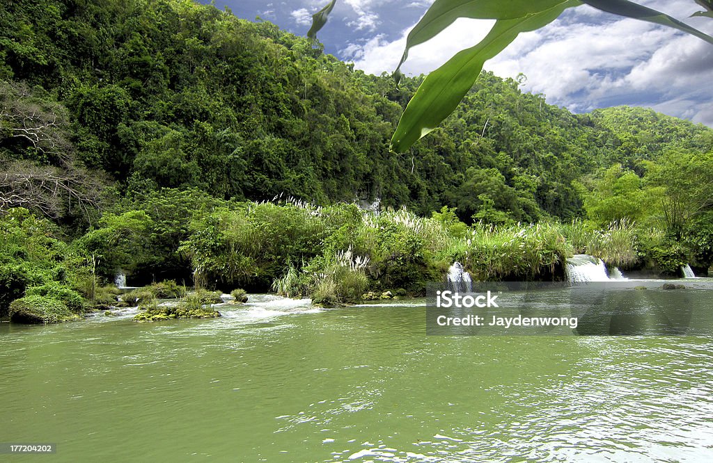 Przed Loboc River Krajobraz - Zbiór zdjęć royalty-free (Bańka)