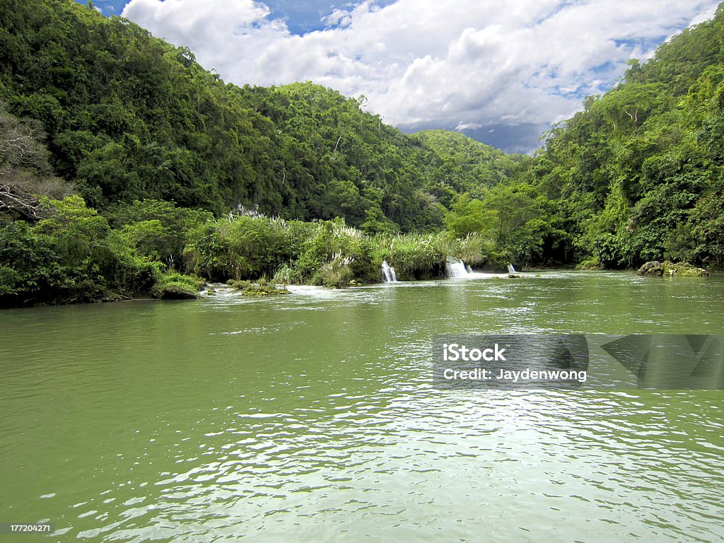 Loboc en amont de la rivière - Photo de Arbre libre de droits