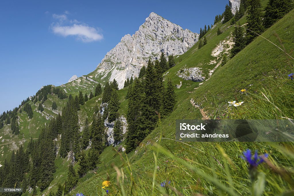 Pico da montanha - Royalty-free Alpes Europeus Foto de stock