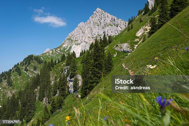 Pico Da Montanha - Fotografias de stock e mais imagens de Alpes Europeus - Alpes Europeus, Ao Ar Livre, Aventura