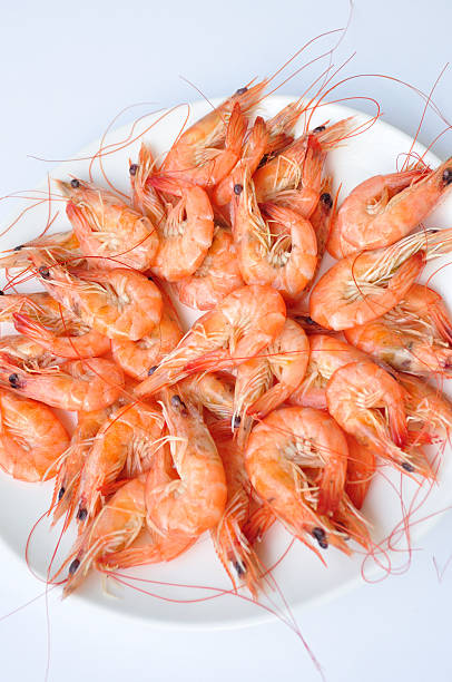 istock delicious fresh cooked shrimp prepared to eat 177205187