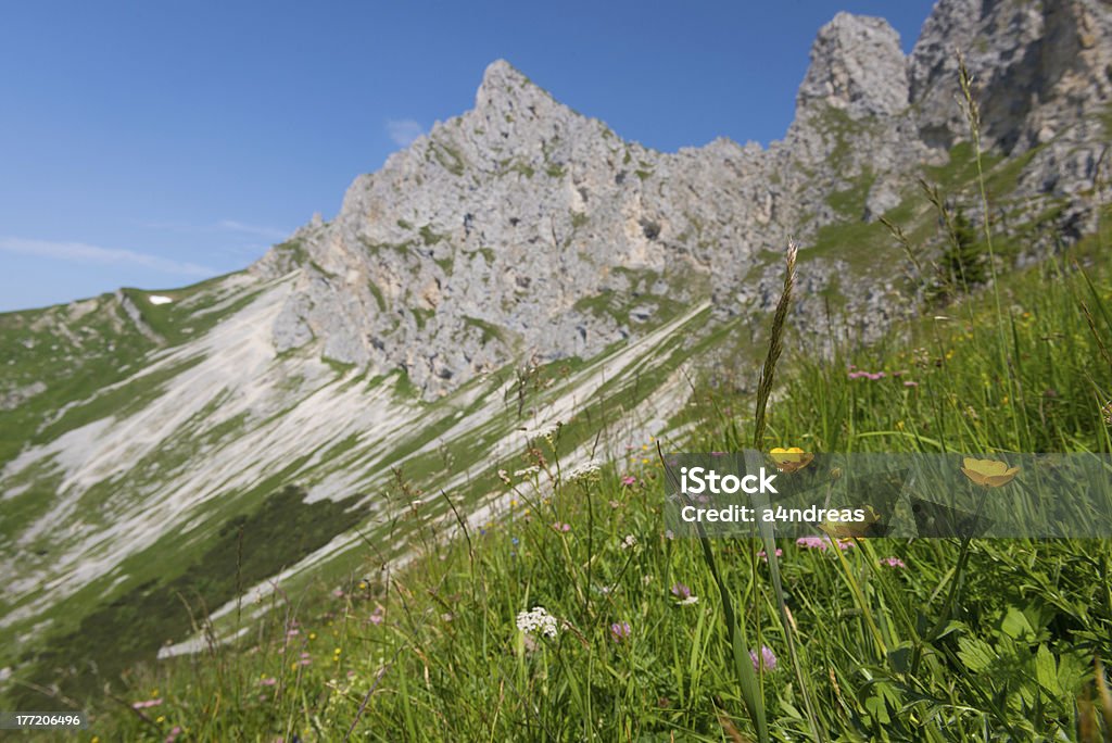 Cadena de las Montañas Rocosas - Foto de stock de Aire libre libre de derechos