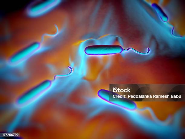 Photo libre de droit de Gramnégatif Courbe En Forme De Bactéries banque d'images et plus d'images libres de droit de Agent pathogène - Agent pathogène, Bacillus Subtilis, Bactérie