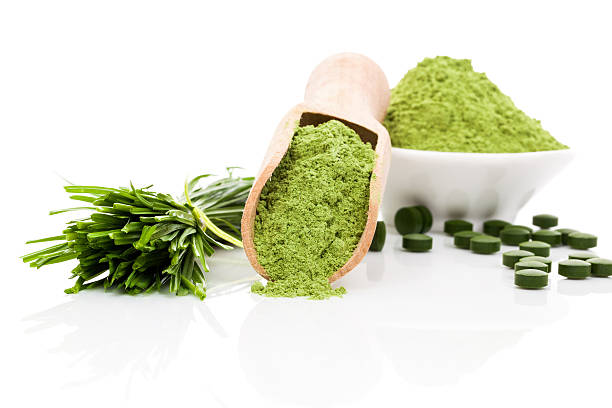 Healthy living. Spirulina; chlorella and wheatgrass. Green food supplement. Green pills; wheatgrass blades and ground powder isolated on white background. Healthy lifestyle. spirulina bacterium stock pictures, royalty-free photos & images