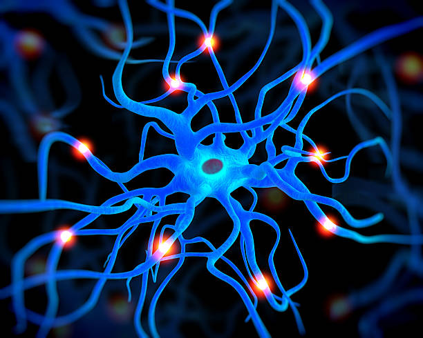 istock A computerized close-up of an active nerve cell or neurons 177207032