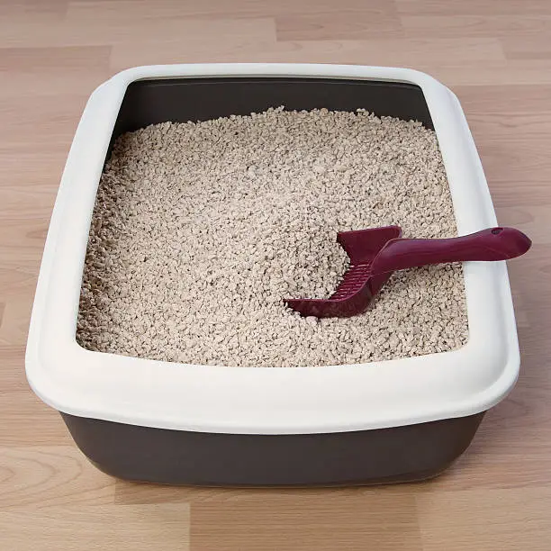 cat litter box with biodegradable pine wood chips