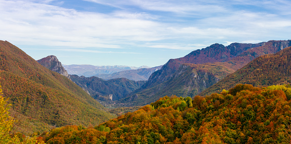 Mountain range in colorful trees in autumn
