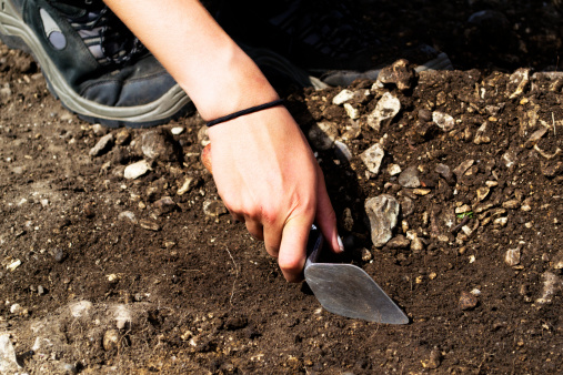 An archaeologist hand and trowel in a trench at a Roman excavation.