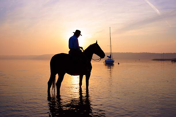 istock Rider on a horse at sunrise 177208608