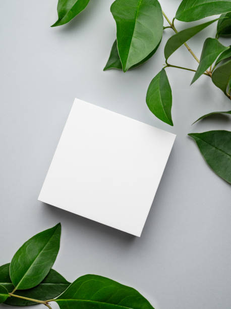 istock Modern empty product display. Minimal white box with green leaves on a gray background. Showcase concept with stage for product presentation, sale or cosmetics advertising banner. 1772110229