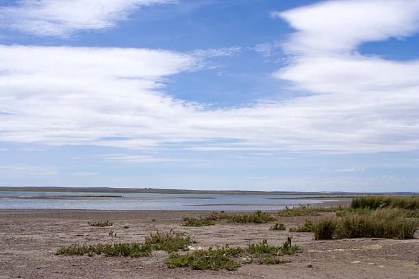 istock Peninsula Valdes, Patagonia 177211193