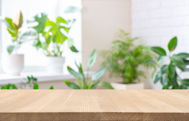 istock Empty wood table top on blur window sill with green house plants background 1772123681