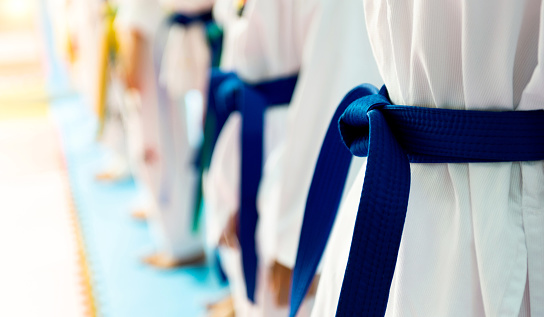 Martial arts athletes  in martial arts training exercising taekwondo