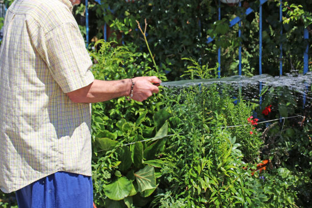 istock Man waters his garden 1772128758
