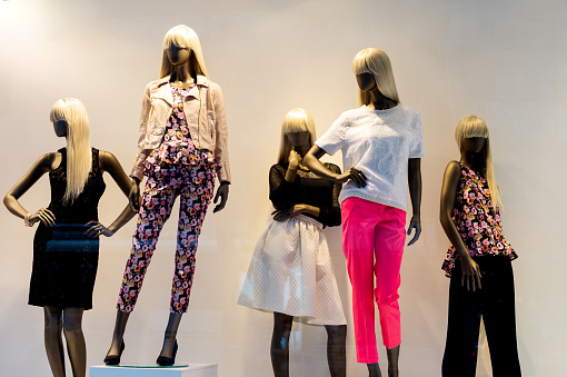Group of fashion on window models