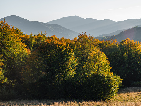 Village in Transcarpathia region scenic Carpathian mountains view Ukraine, Europe. Colorful leaves autumn trees lush foliage countryside landscape fall woods Local tourism hiking Recreational Vacation