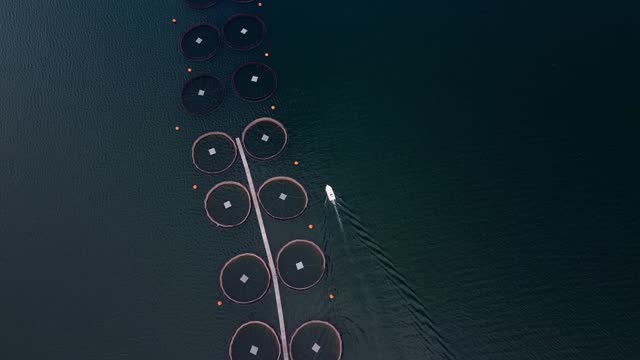 Drone video of boat cruising near fish farm
