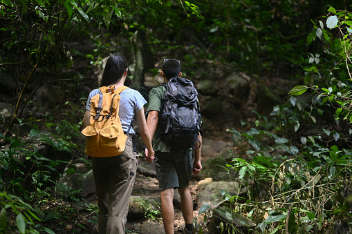 Rear view of young couple with backpacks walking through the forest.