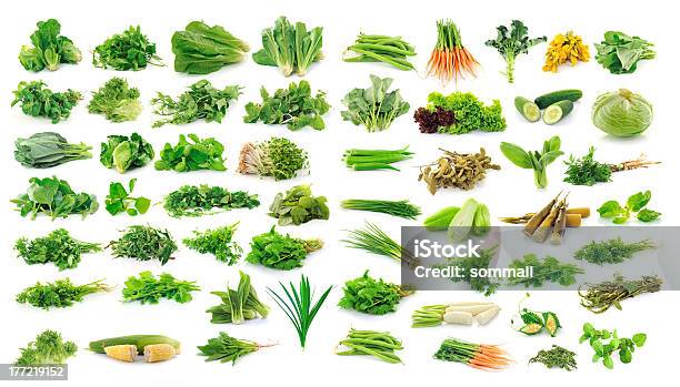 Vegetables Collection Stock Photo - Download Image Now - Agriculture, Bamboo Shoot, Bean