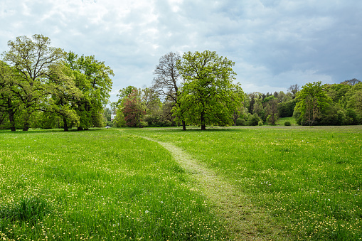 Path along the edge of the field in spring green. Scene from May.