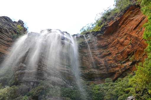 Waterfall in the rainforest at Wentworth Falls, New South Wales, Australia, one of the most scenic picnic grounds in the Blue Mountains.