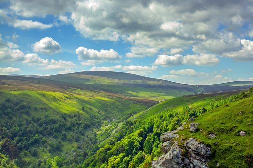 Landscape in the Wicklow Mountains: A Picture-Perfect Scene of Nature, Tranquil Valleys, and Endless Beauty in County Wicklow.