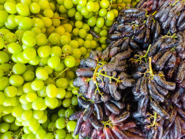 istock Green grapes and black grapes background close up 1772249022