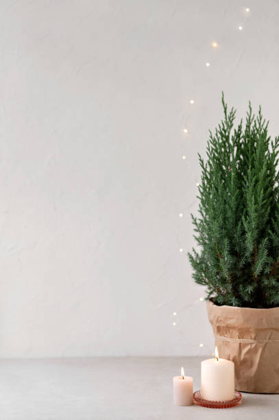 istock Minimal white neutral aesthetic Christmas background. Empty white wall, beige table with juniper in pot and candle lights 1772264414